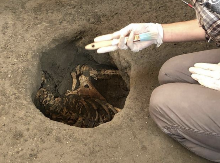 An archaeologist carefully removes one of the men’s remains from the pile of debris left by Mount Vesuvius. The volcano erupted in 79 AD and buried the Roman city of Pompeii under several feet of ash and lapilli. Photo courtesy of the Pompeii Site.