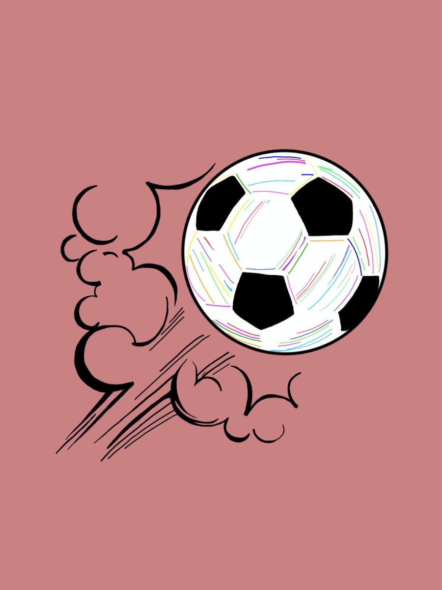 World cup fans: Priced out of buying tickets