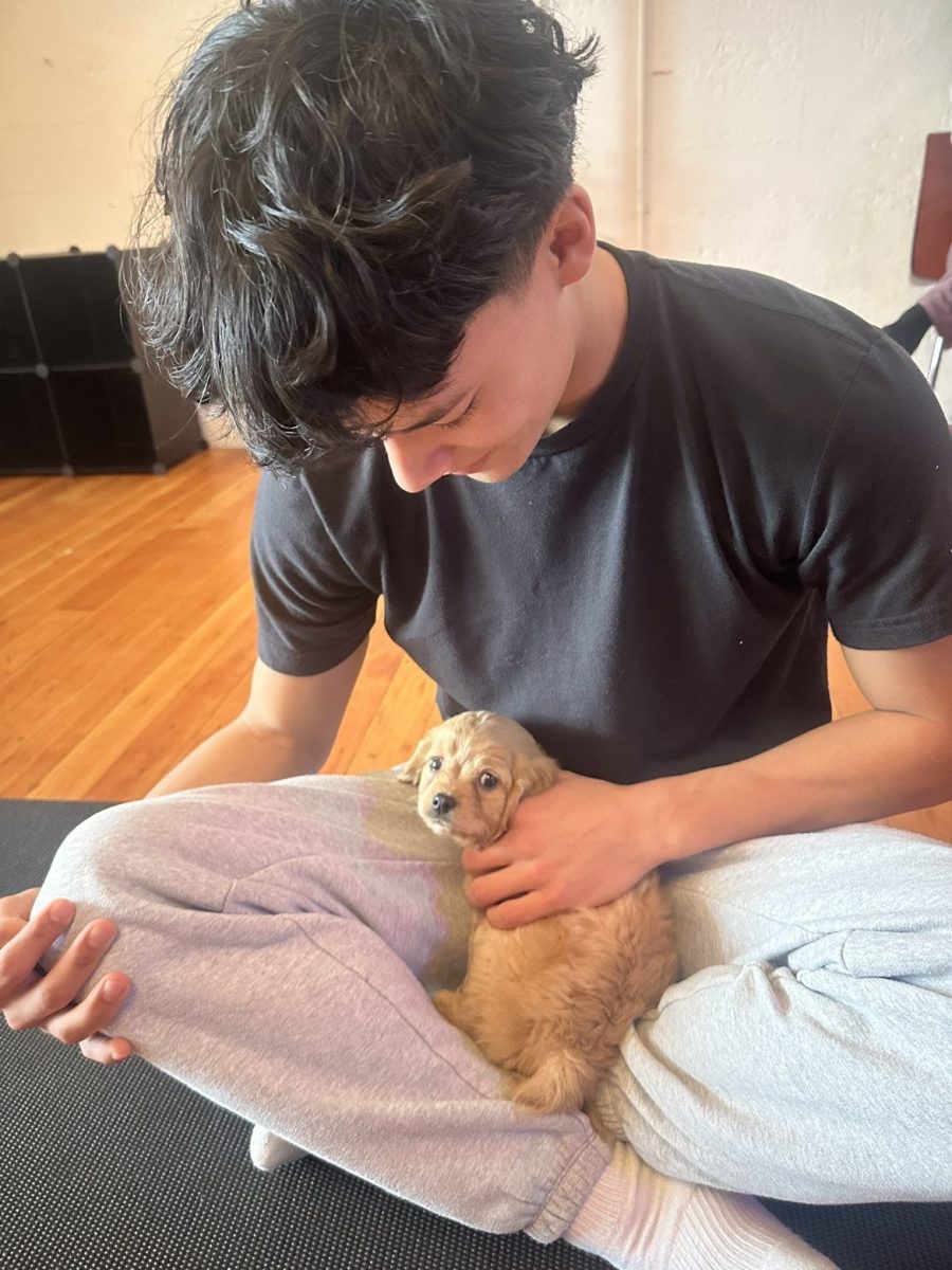 Sophomores Finley Jensen and Mehki Pressley go to Puppies & Yoga PDX for a fun date to kick off the new year.