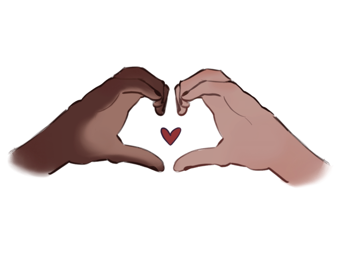 Staff Question: What is your most valuable volunteering experience?